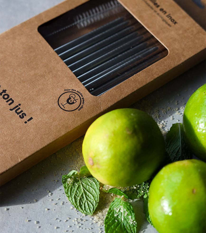 Pack de 10 pailles en inox réutilisables